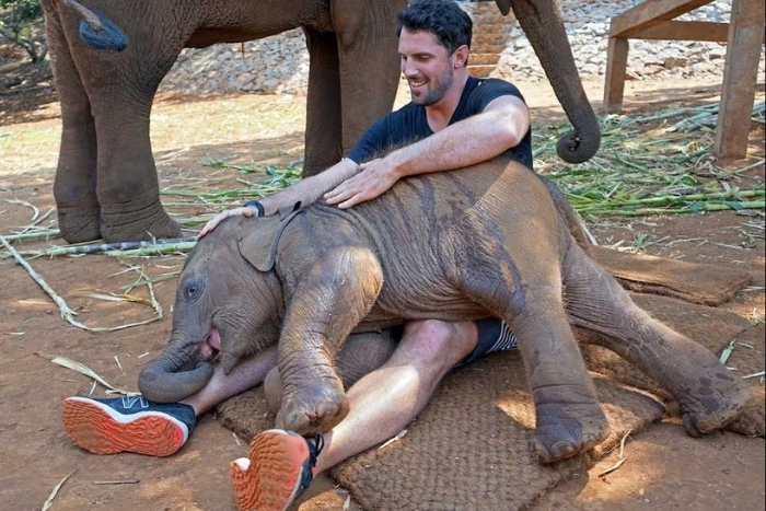 sanctuaire d'éléphants éthique