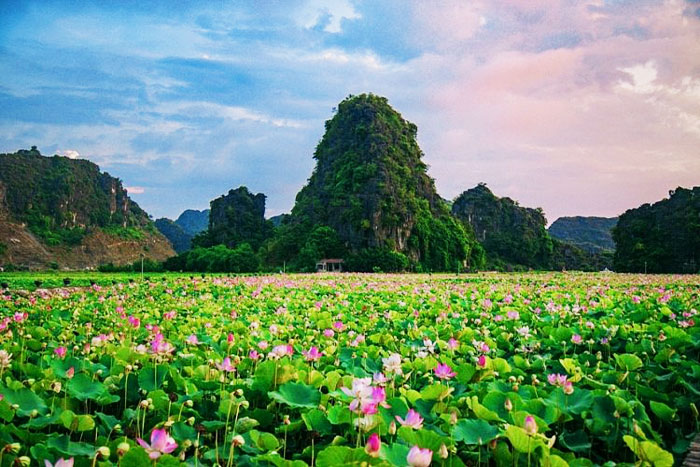 La verdure luxuriante enveloppe le village de Giang Ta Chai