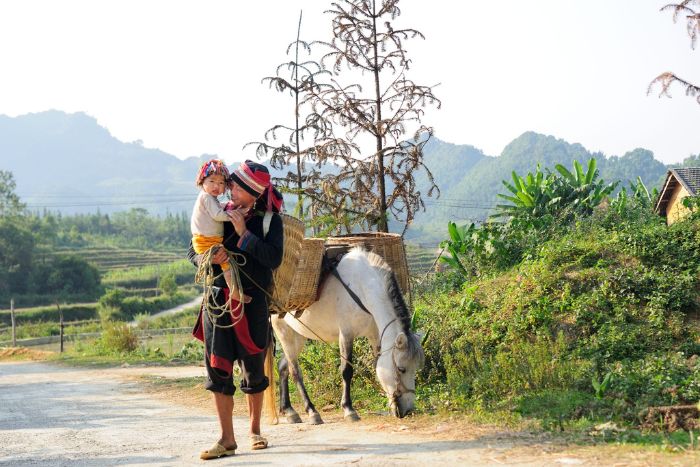 Rencontrer les Dao rouges lors de votre voyage à Ha Giang 1 semaine