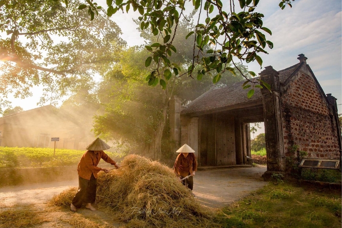 Que visiter au village de Duong Lam en 2 jours ? Explorez les maisons anciennes