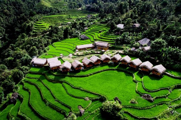 Hoang Su Phi - le premier site de votre visite de 7 jours à Ha Giang