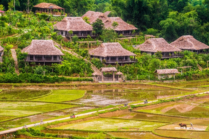 Vallé verte à Mai Chau