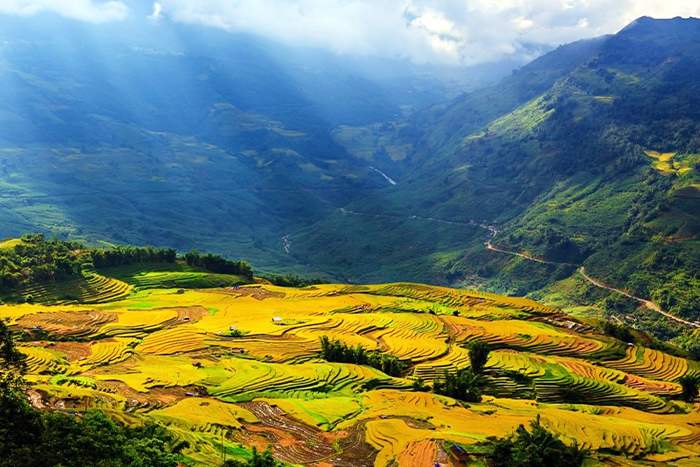 Un voyage poétique à travers la vallée de Muong Hoa