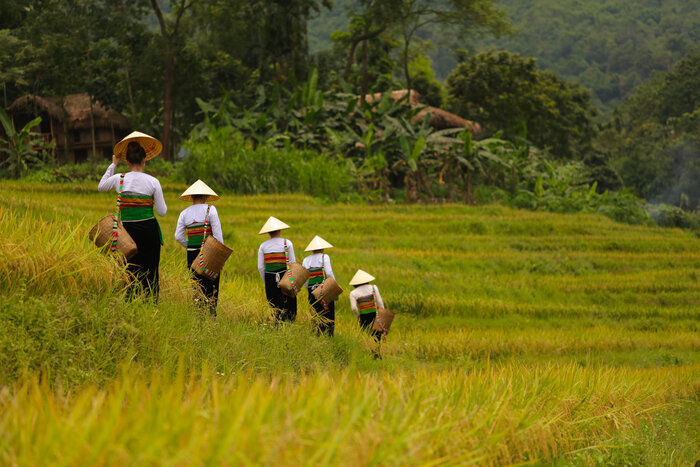 Les Thaï à Pu Luong