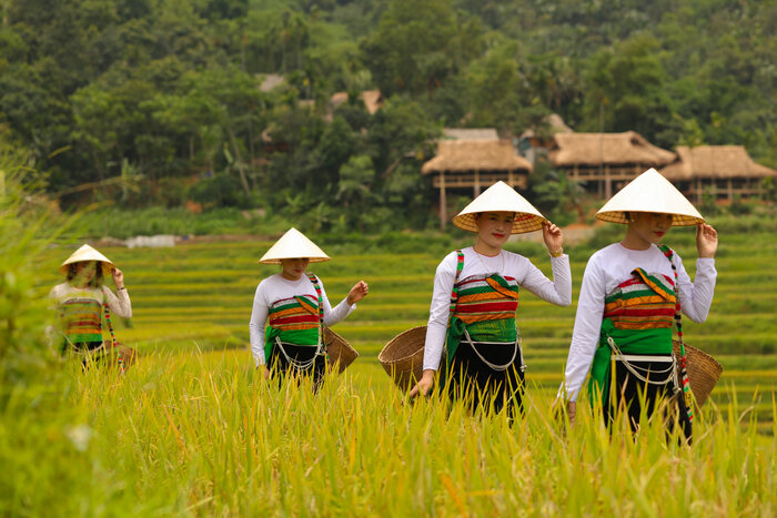L'ethie Thai noire à Pu Luong