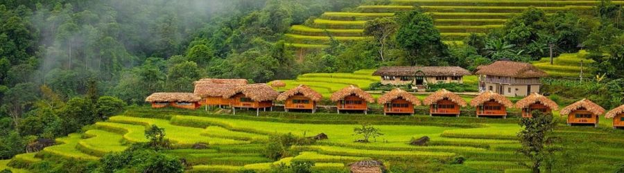 Rizières en terrasse, un incontournable de votre voyage à Ha Giang 7 jours