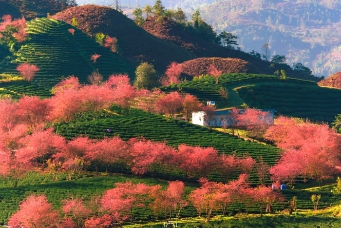 Saison sèche à Sapa (octobre - avril)