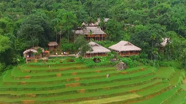 Puluong Bungalow (Piscine)