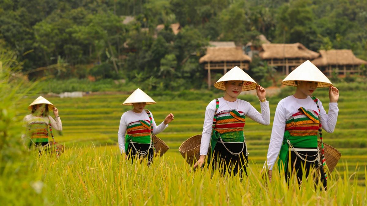 Pu Luong entre nature préservée et traditions séculaires