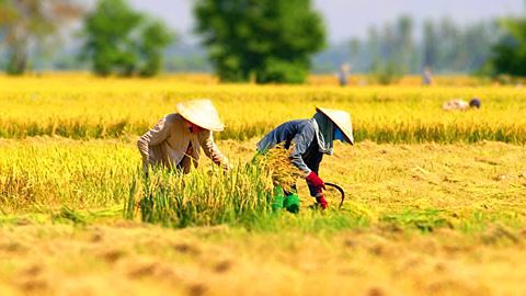 Nord Vietnam 14 Jours 13 Nuits Au Cœur Des Merveilles