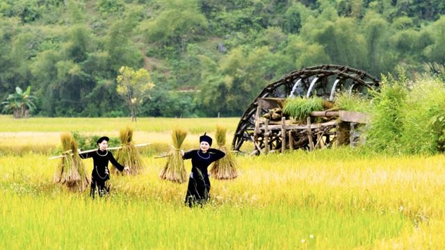 Le charme authentique de Cao Bang