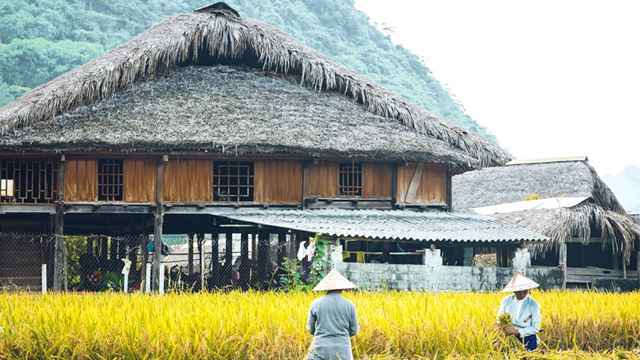 Village de Tha à Ha Giang
