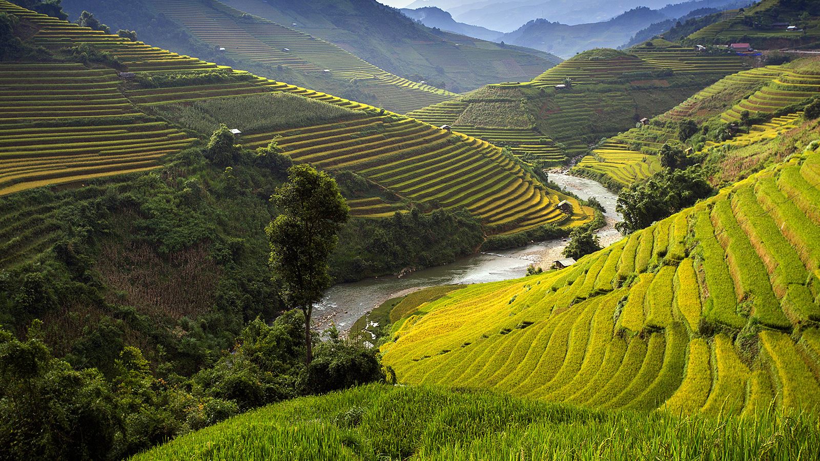 2 semaines‎ au Vietnam