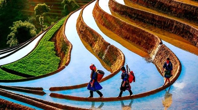 Élite de litinéraire circuit Nord Vietnam 15 jours 14 nuits
